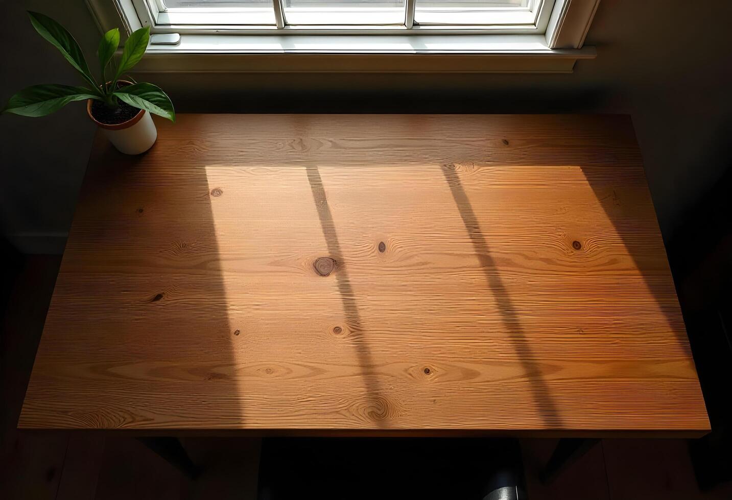 A table with a plant on it in front of a window photo