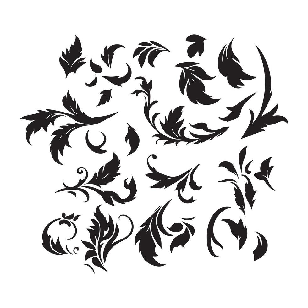Elegant Flourish and Leaf Elements Set Black and White Botanical Scrolls vector