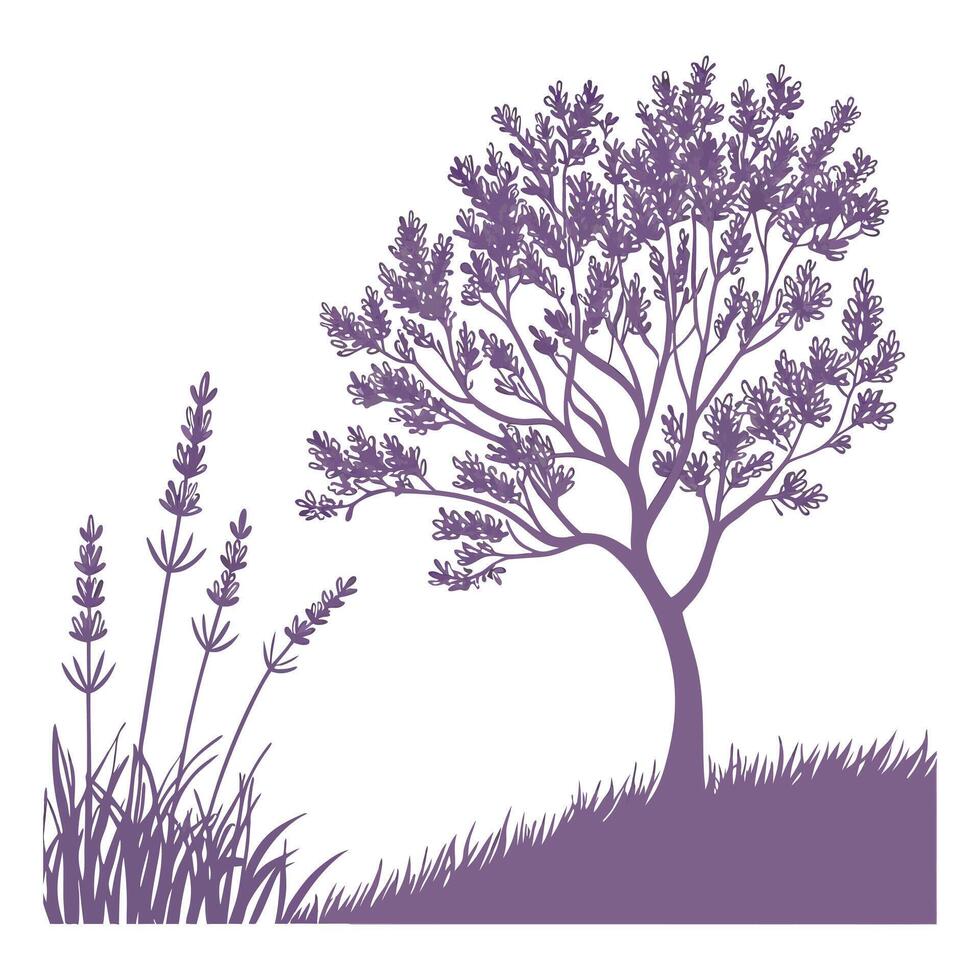 Lavender and tree silhouette isolated on white background vector
