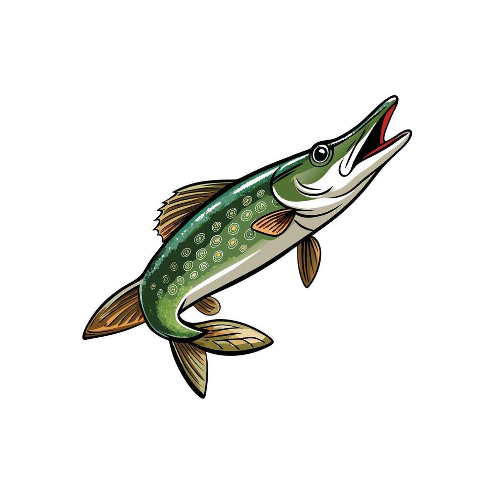 Northern Pike Fish Illustration with Open Mouth on White vector