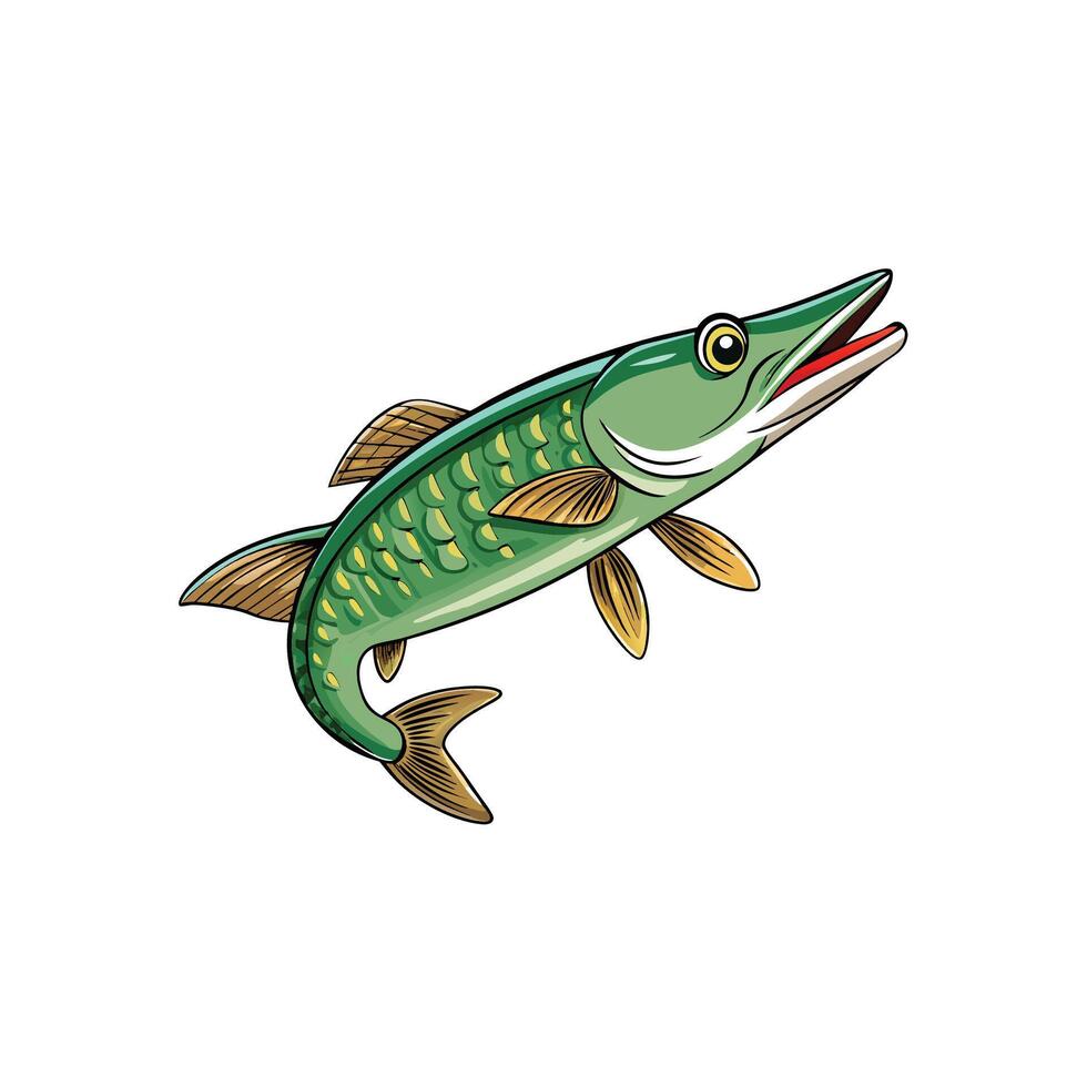 Cartoon Pike Fish Illustration with Detailed Scale Markings vector