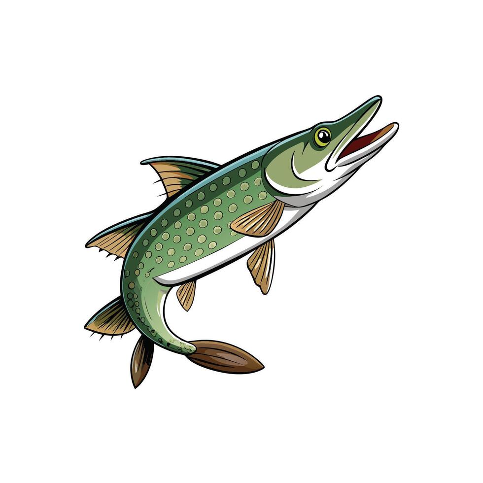 Cartoon pike fish illustration on a white background artwork vector
