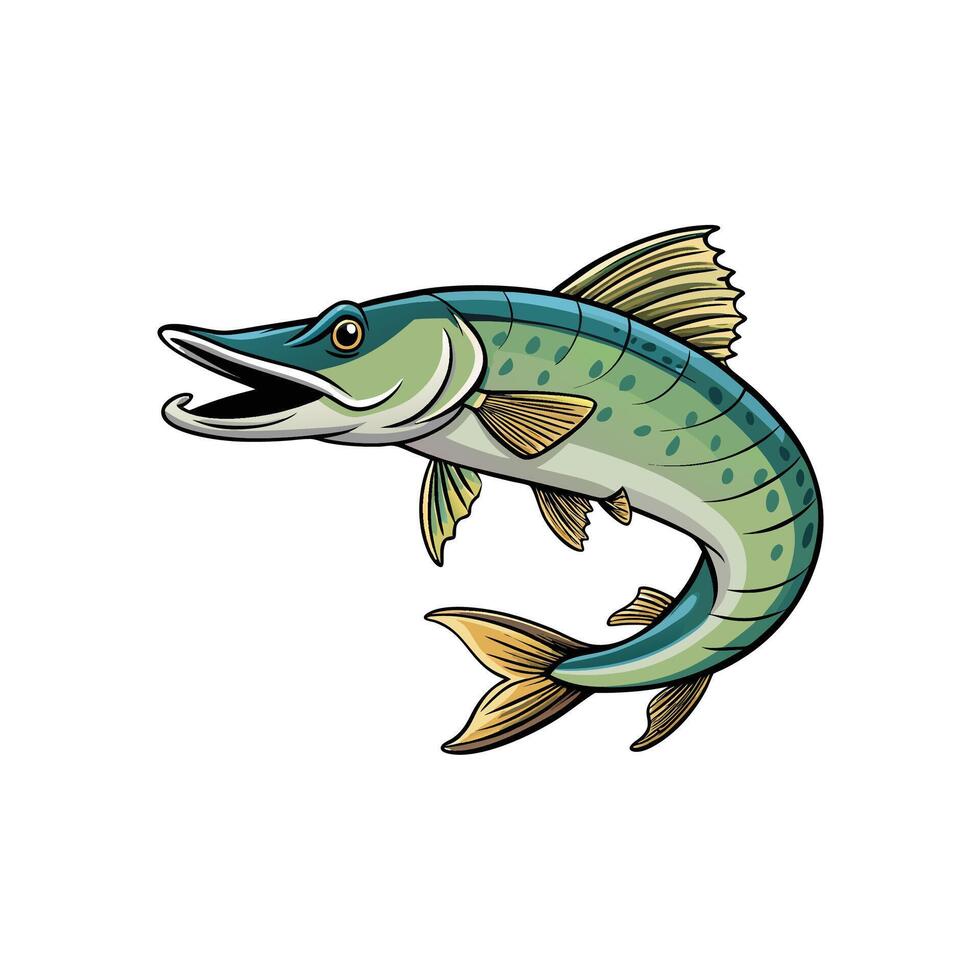 Cartoon style northern pike fish illustration on white backdrop vector