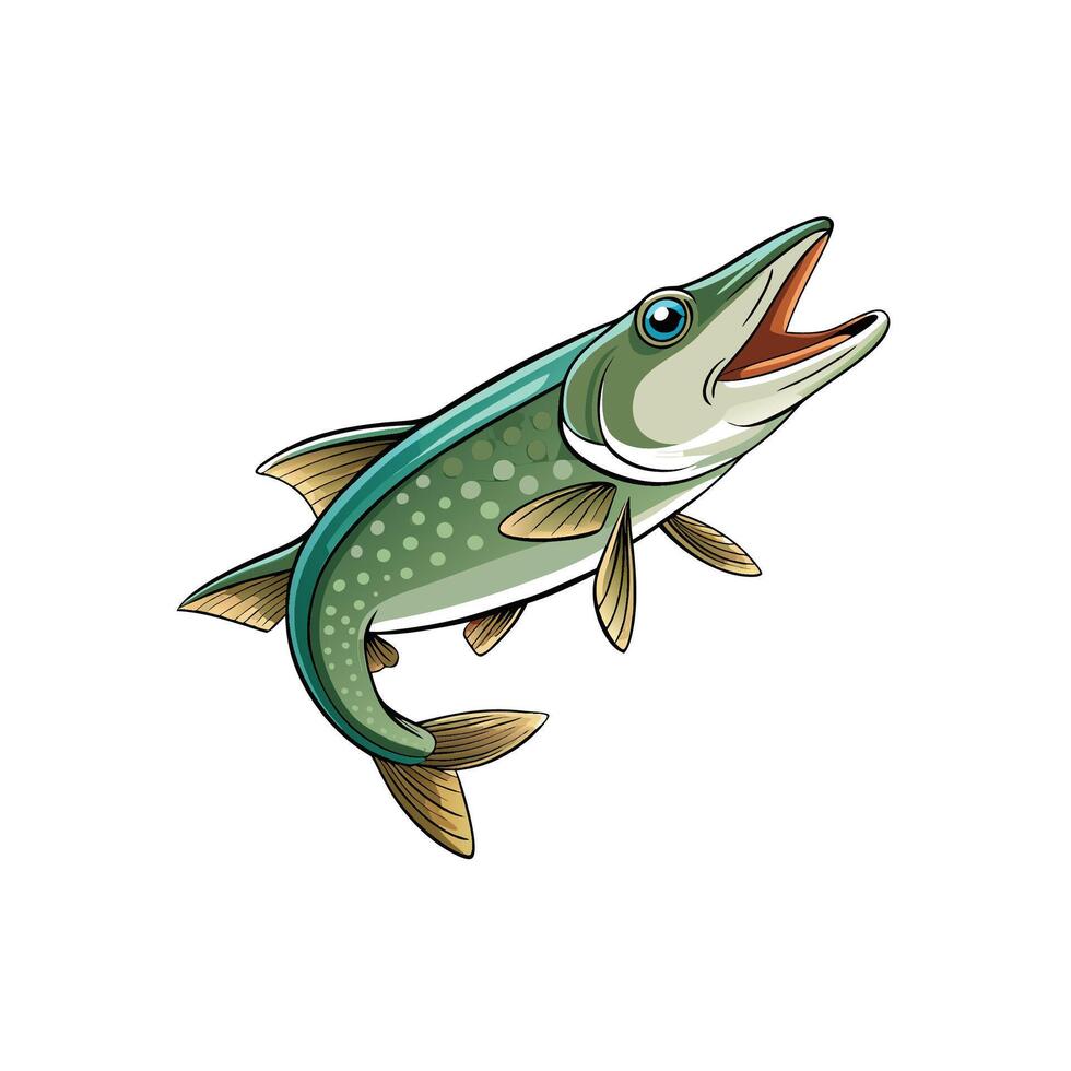 Illustrated pike fish with open mouth swimming upward vector