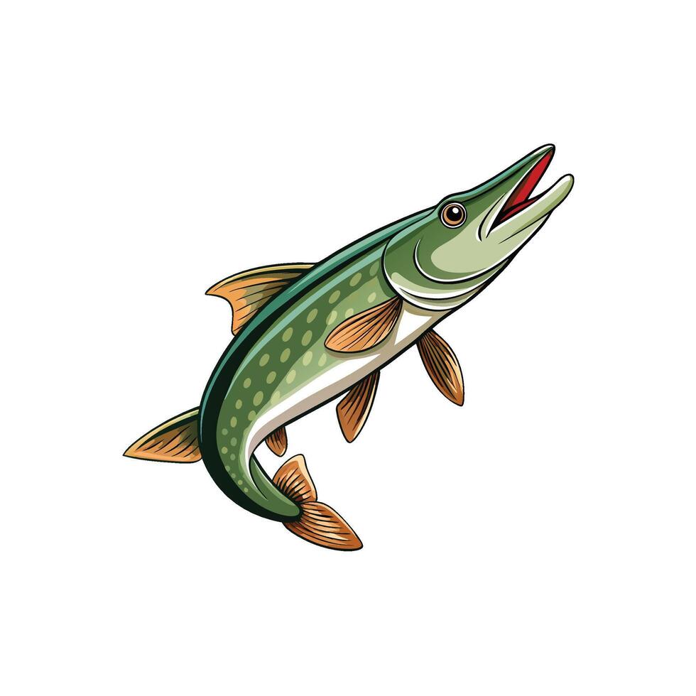 Cartoon style pike fish illustration isolated on white backdrop vector