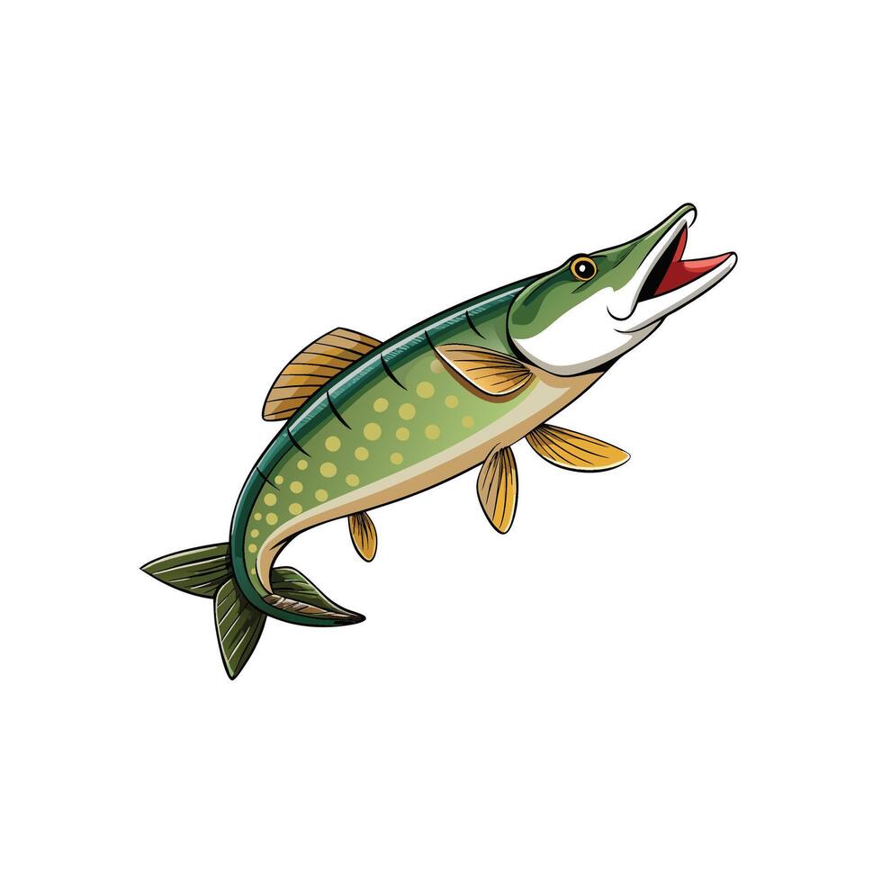 Isolated illustration of northern pike fish with open mouth vector
