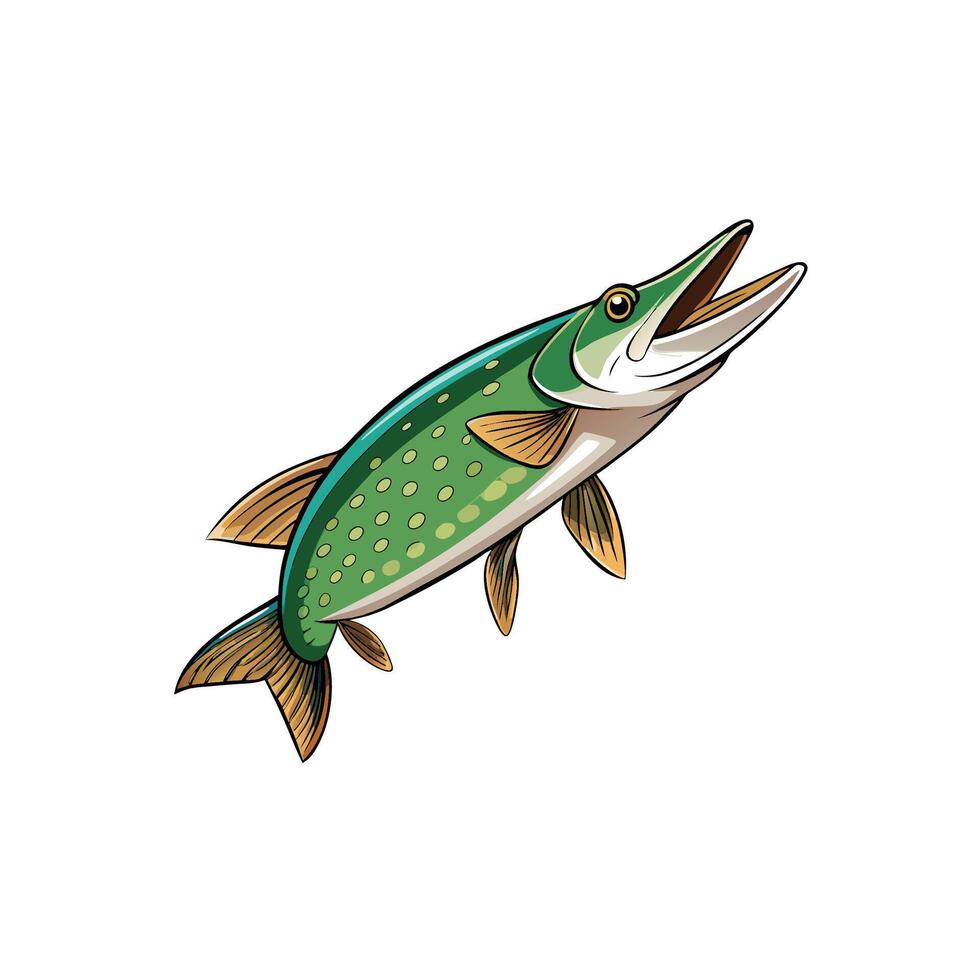 Cartoonish Northern Pike illustration with upwards angle and open mouth vector