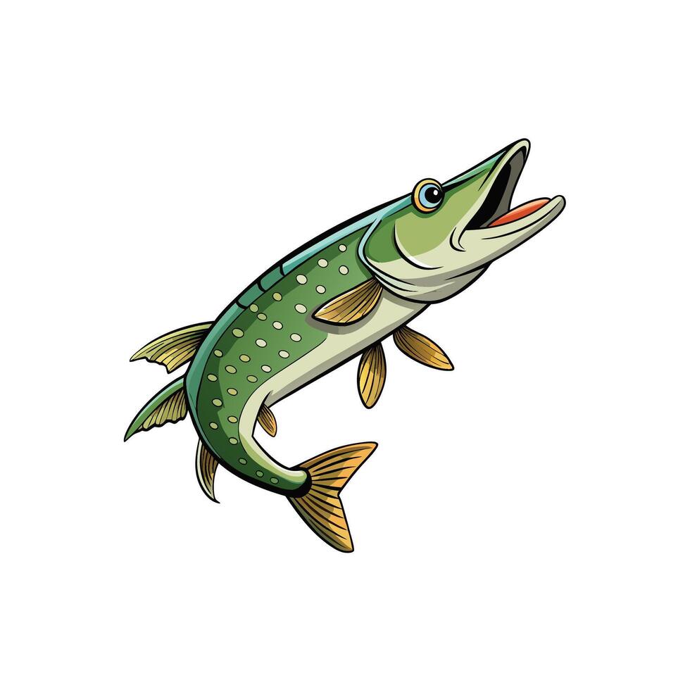 Cartoon Pike Fish Illustration on White Background Graphic Asset vector