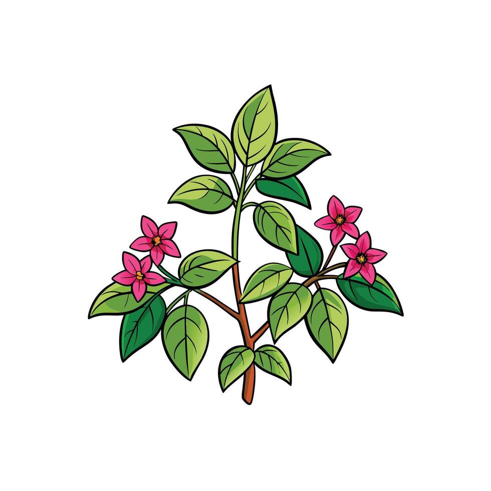 Illustration of flowering plant with green leaves and pink blossoms vector
