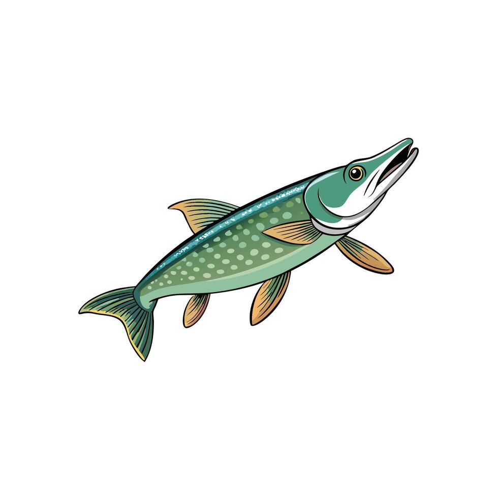 Cartoon style Northern Pike fish illustration on white background vector