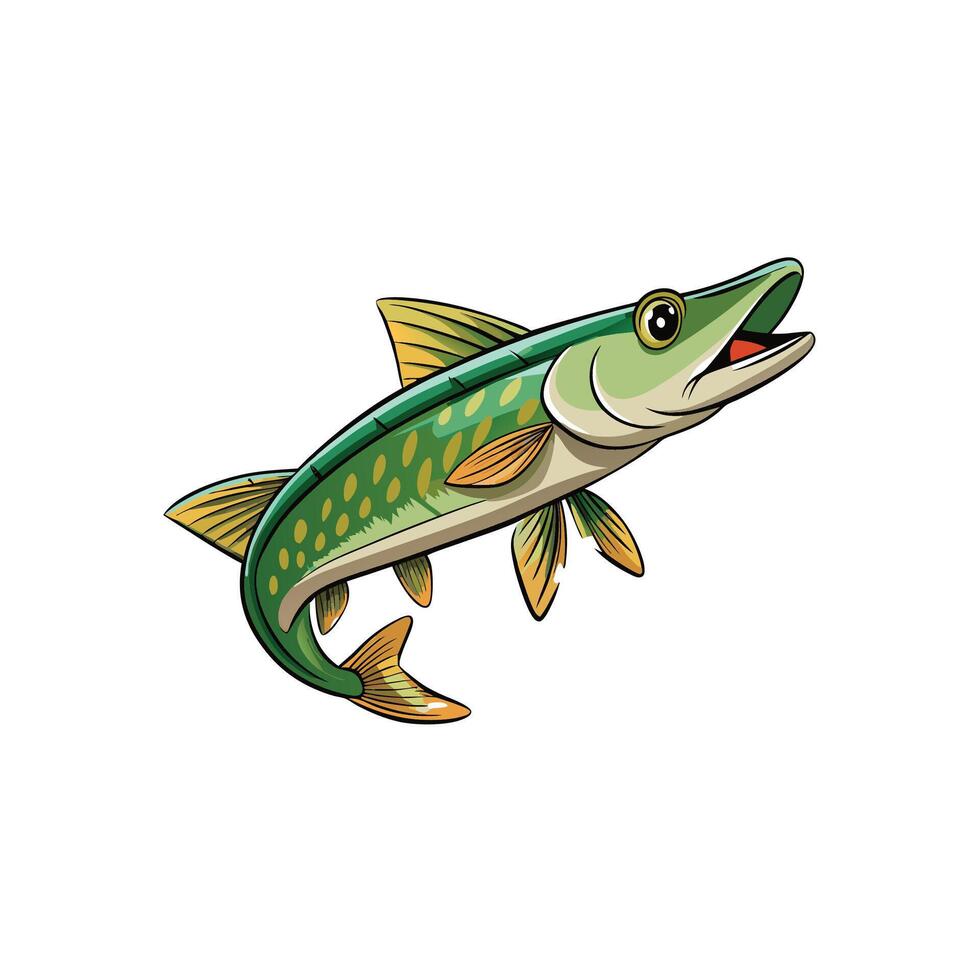 Stylized Northern Pike Illustration Isolated on White Background vector