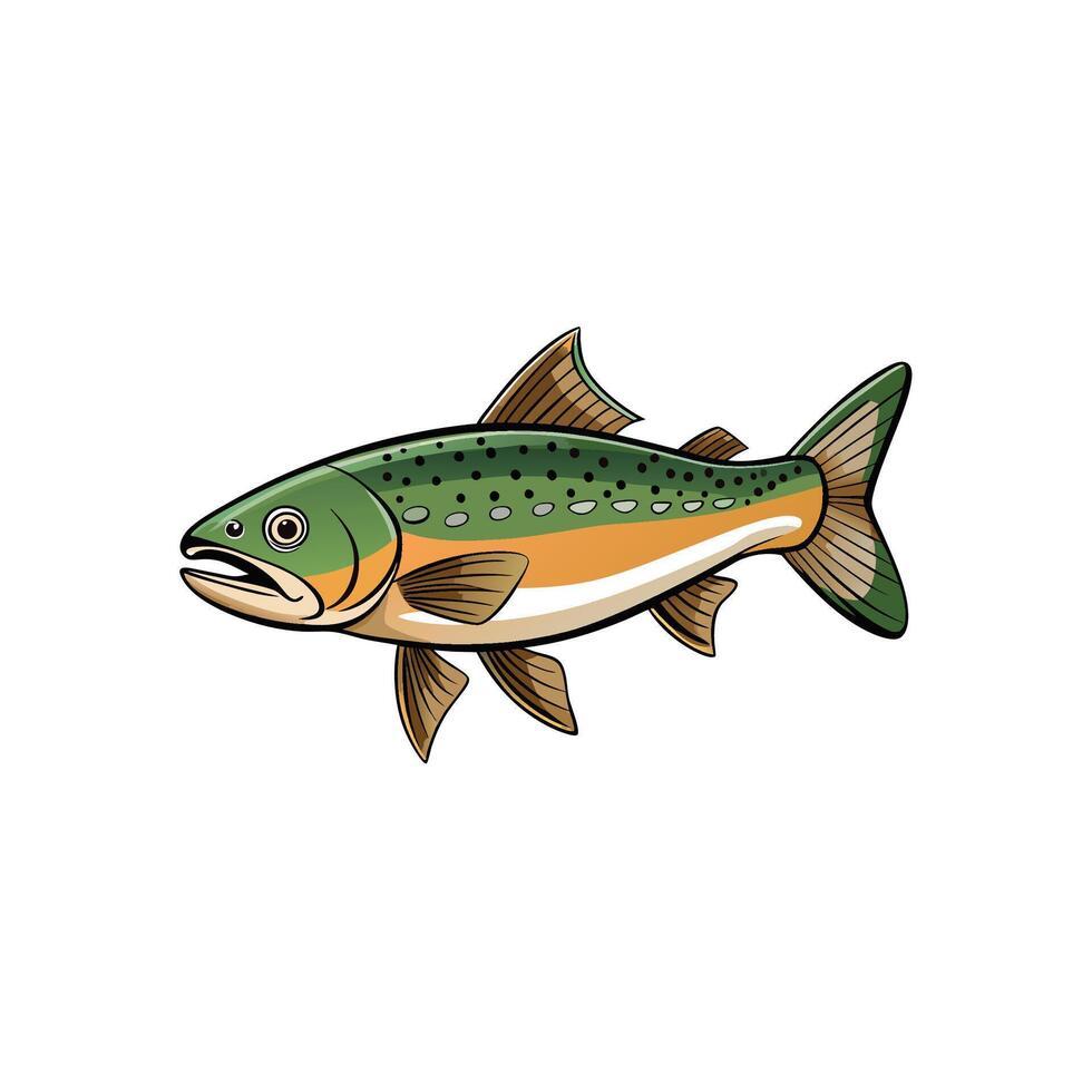 Isolated illustration of a Trout fish with white background vector
