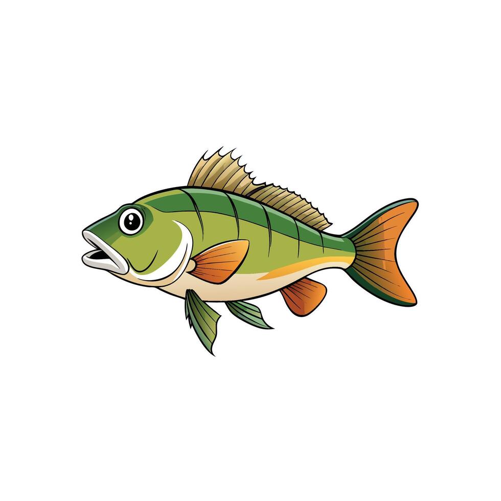 Cartoon illustration of a colorful perch fish with outlines vector