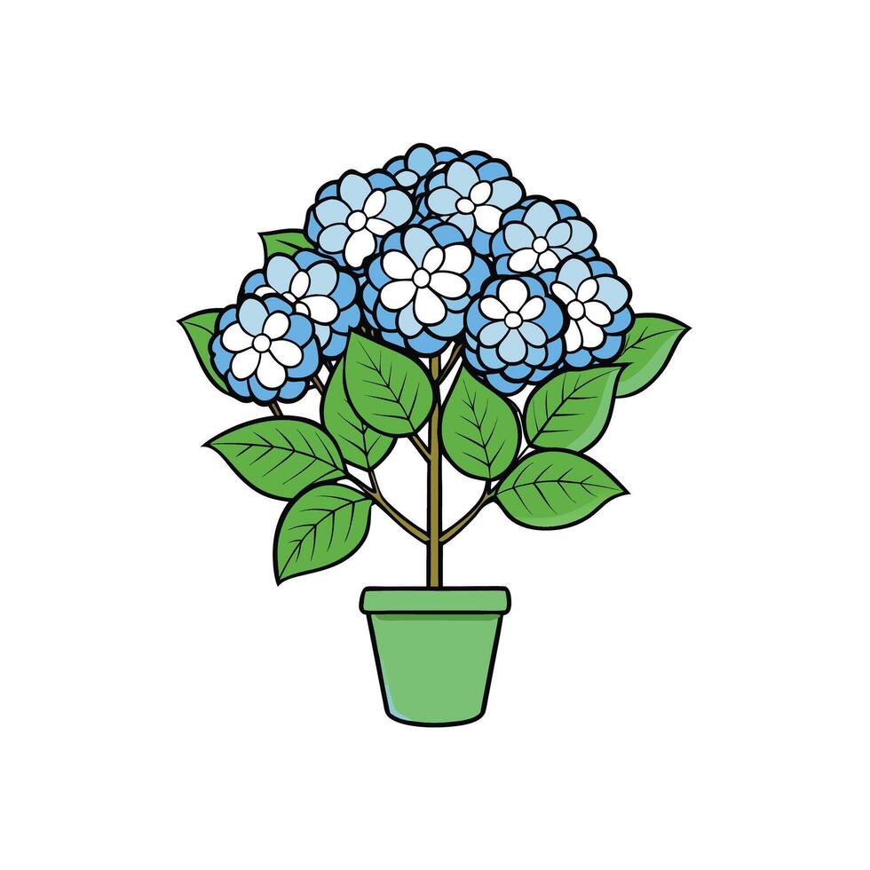 Potted blue hydrangea illustration with white background, closeup view vector