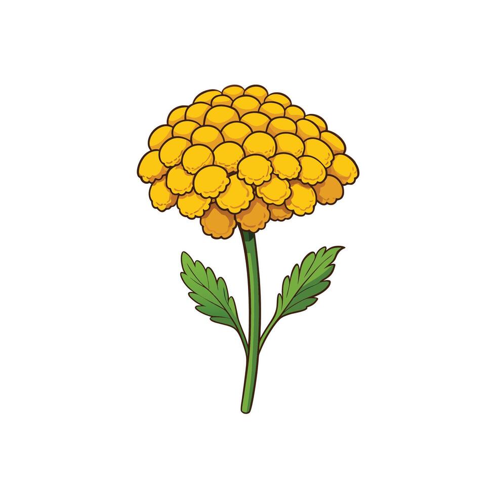 Cartoon Yellow Flower with Green Stem and Leaves Illustration vector