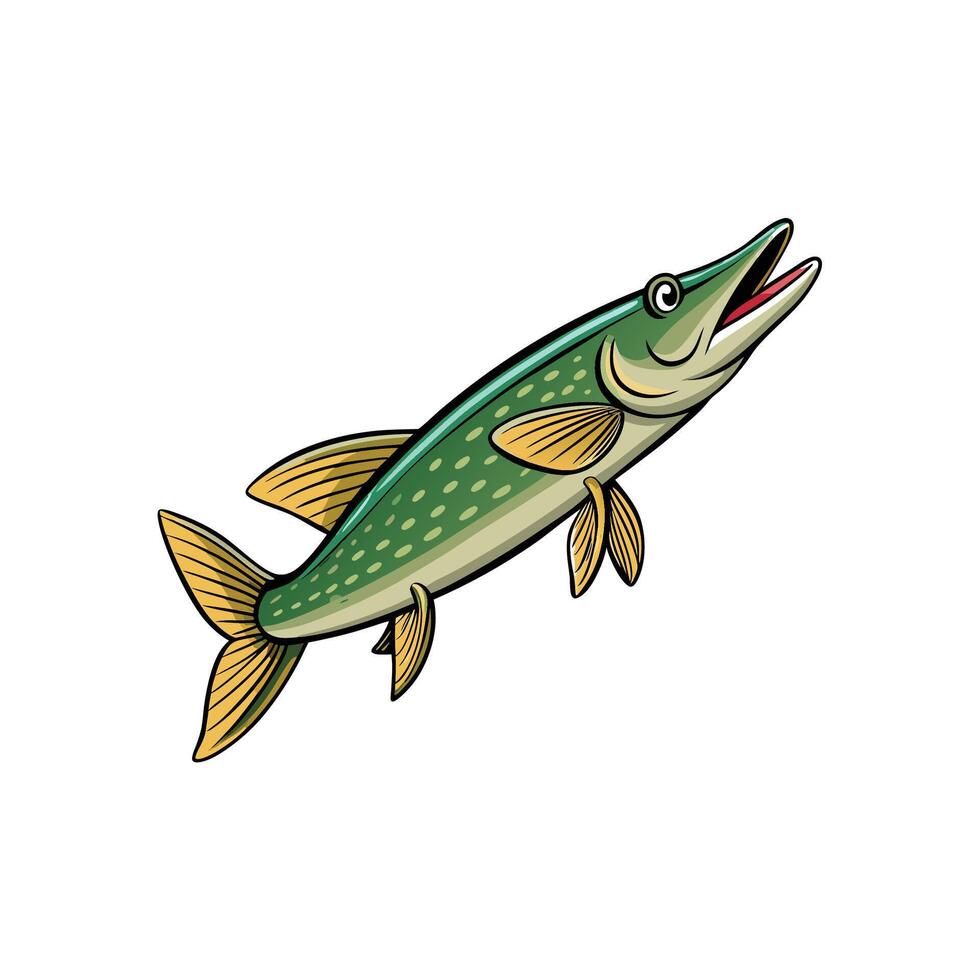 Cartoon pike fish illustration on a white isolated background vector