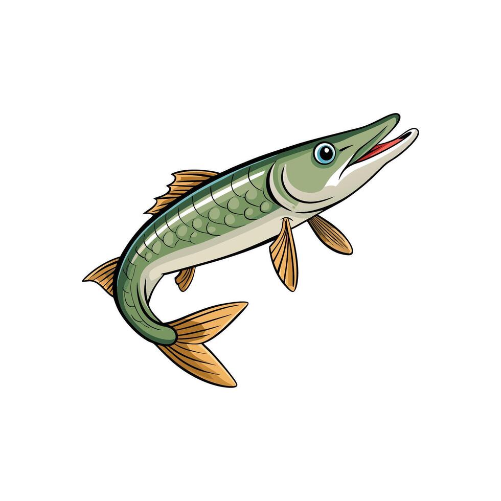 Cartoon pike fish swimming upwards on a white background vector