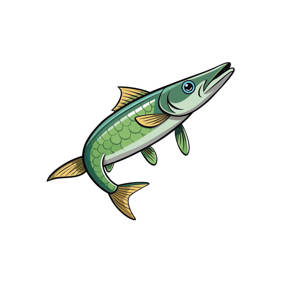 Cartoon barracuda illustration showing detailed scales and golden fins vector