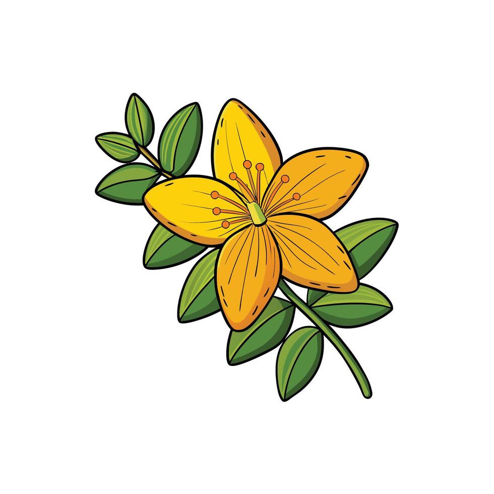Graphic yellow flower with leaves and thick black outline vector
