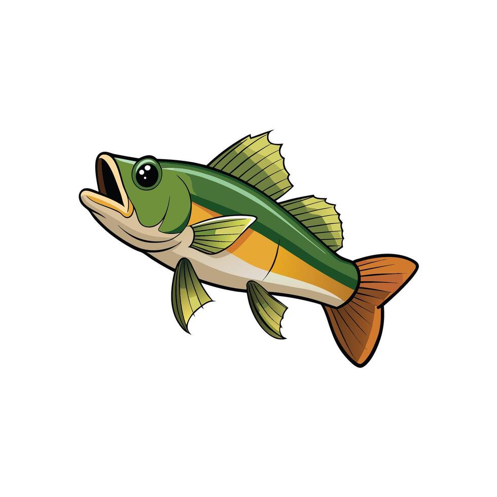 Cartoon style Largemouth Bass fish swimming isolated on white vector