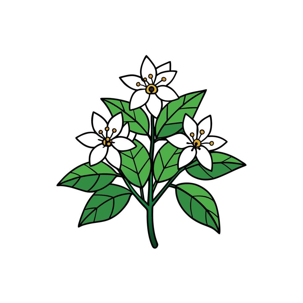Stylized illustration of citrus blossom with lush green leaves vector