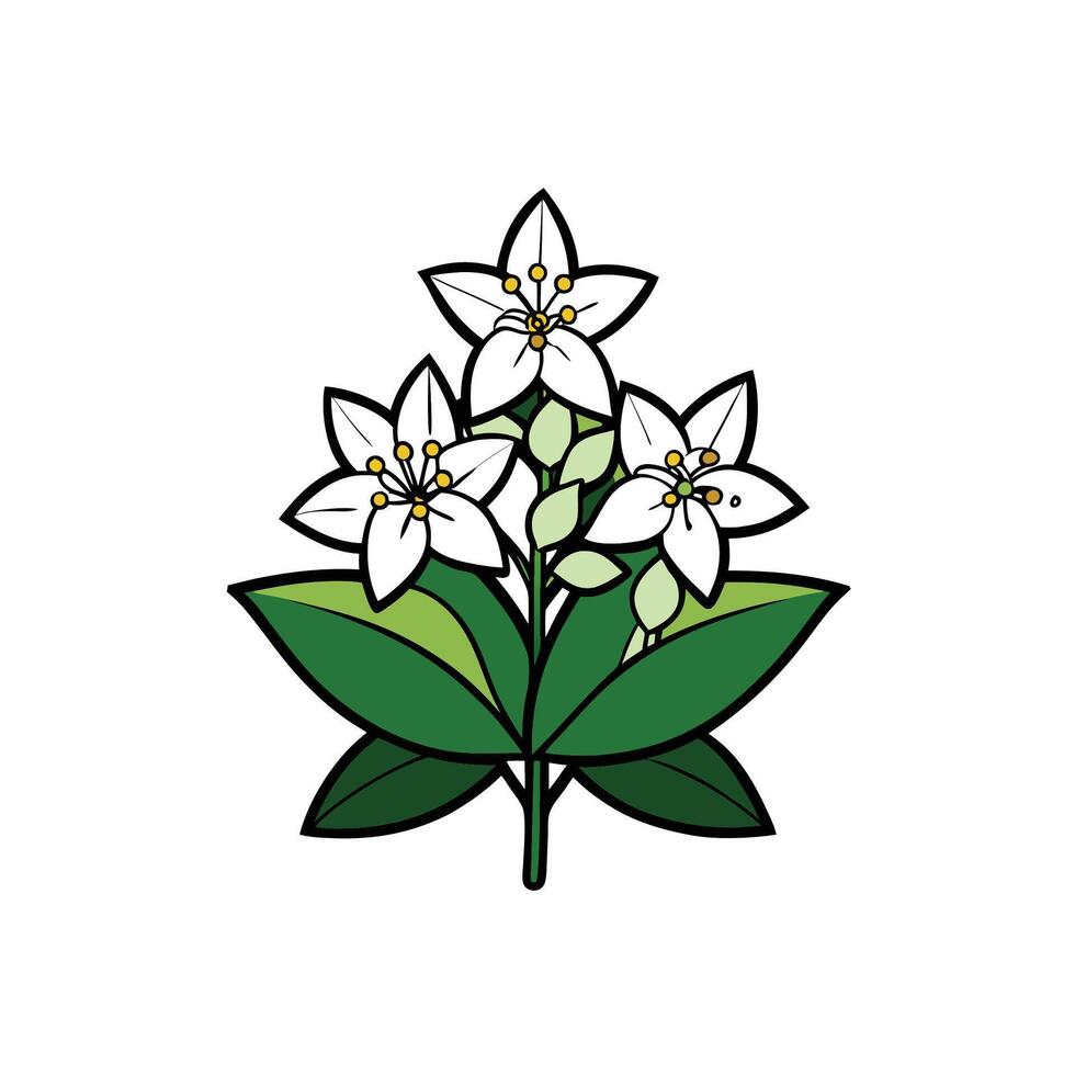 Stylized illustration of white flowers with green leaves vector