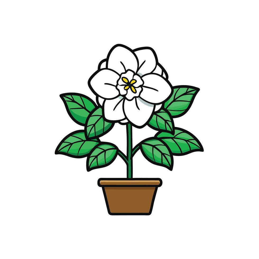 Cartoon potted white flower with green leaves illustration vector