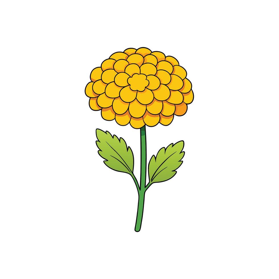 Cheerful cartoon illustration of an orange chrysanthemum on a white background vector