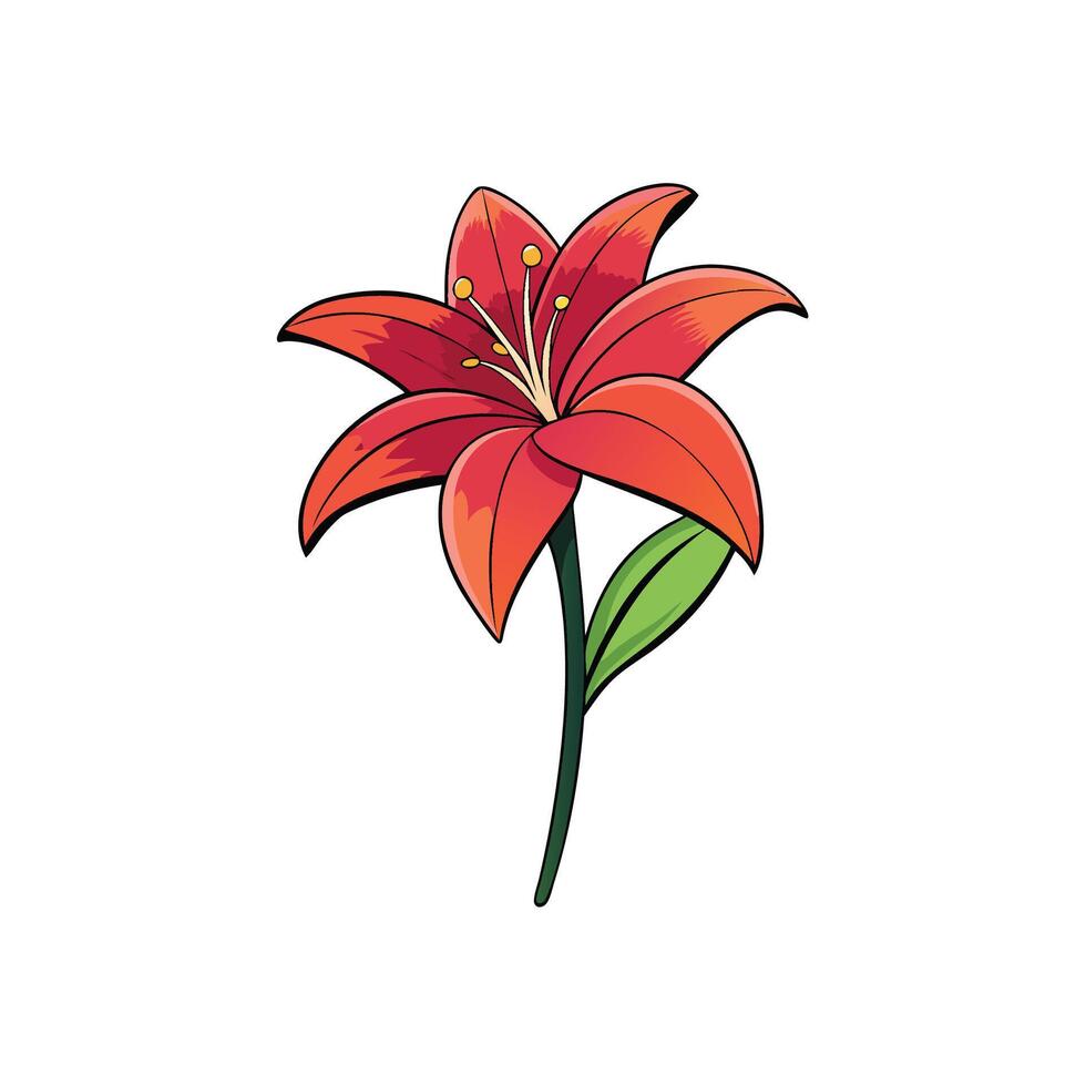 Illustration of a bright red lily flower on white background vector