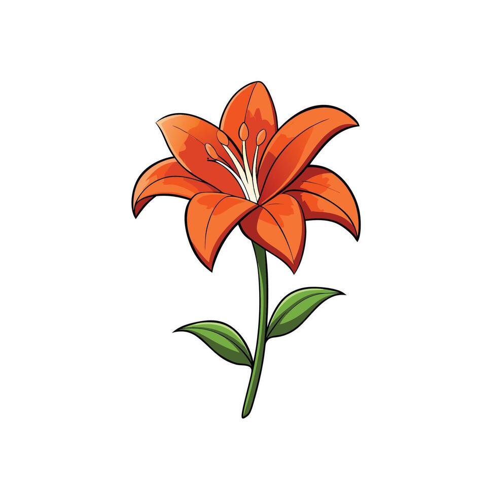 Vibrant orange lily flower with green stem illustration vector