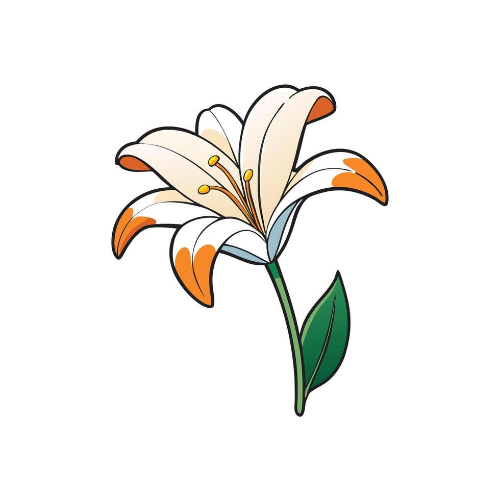 Cartoon Lily Flower with Green Stem and Leaf Illustration vector