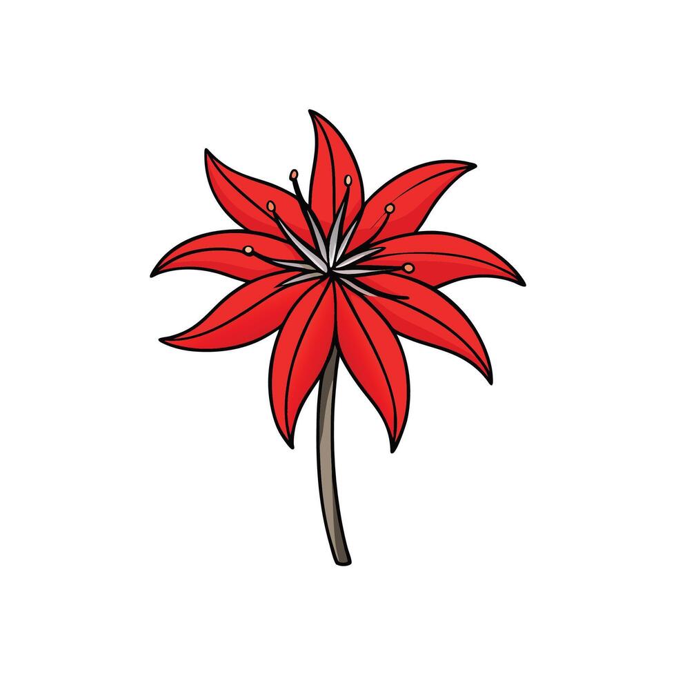 Vibrant red flower with black outline on white background. vector