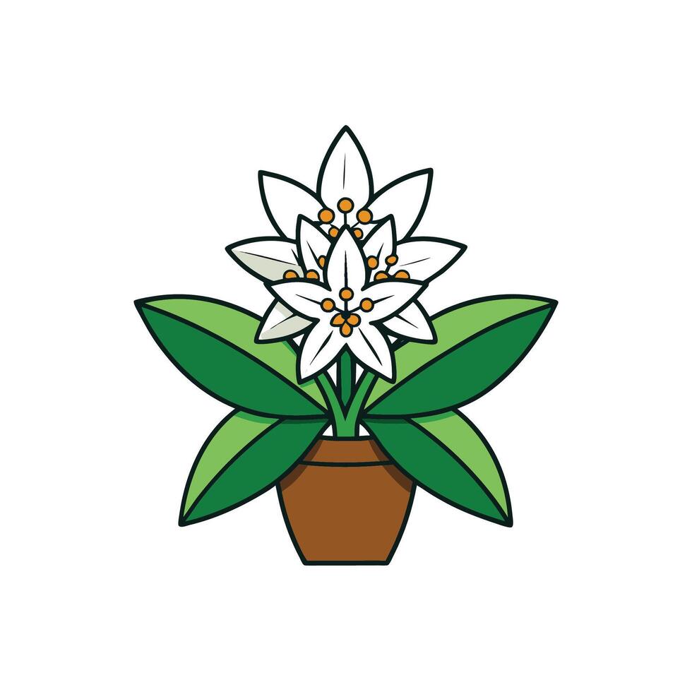 Charming potted plant illustration with white flowers and leaves vector
