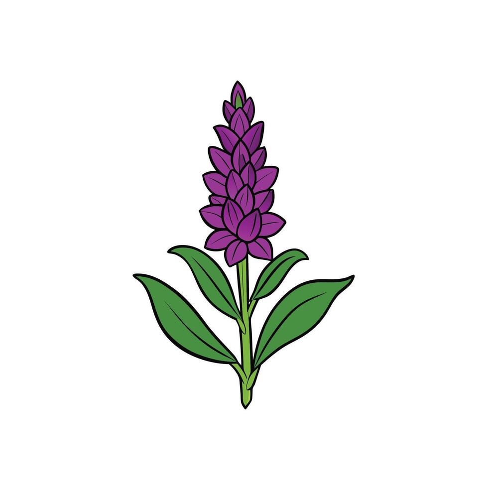 Purple flower illustration on white background for stock image vector