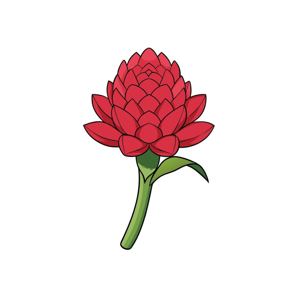 Stylized red flower illustration with green stem and leaf vector