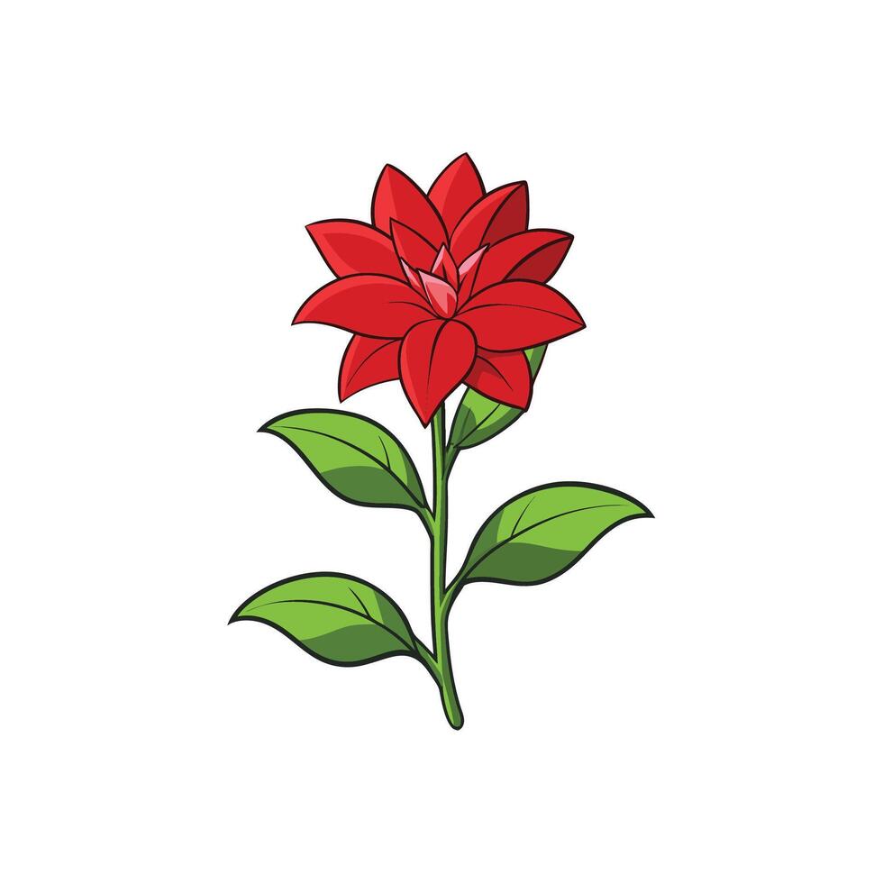 Bright red poinsettia flower with green leaves illustration vector