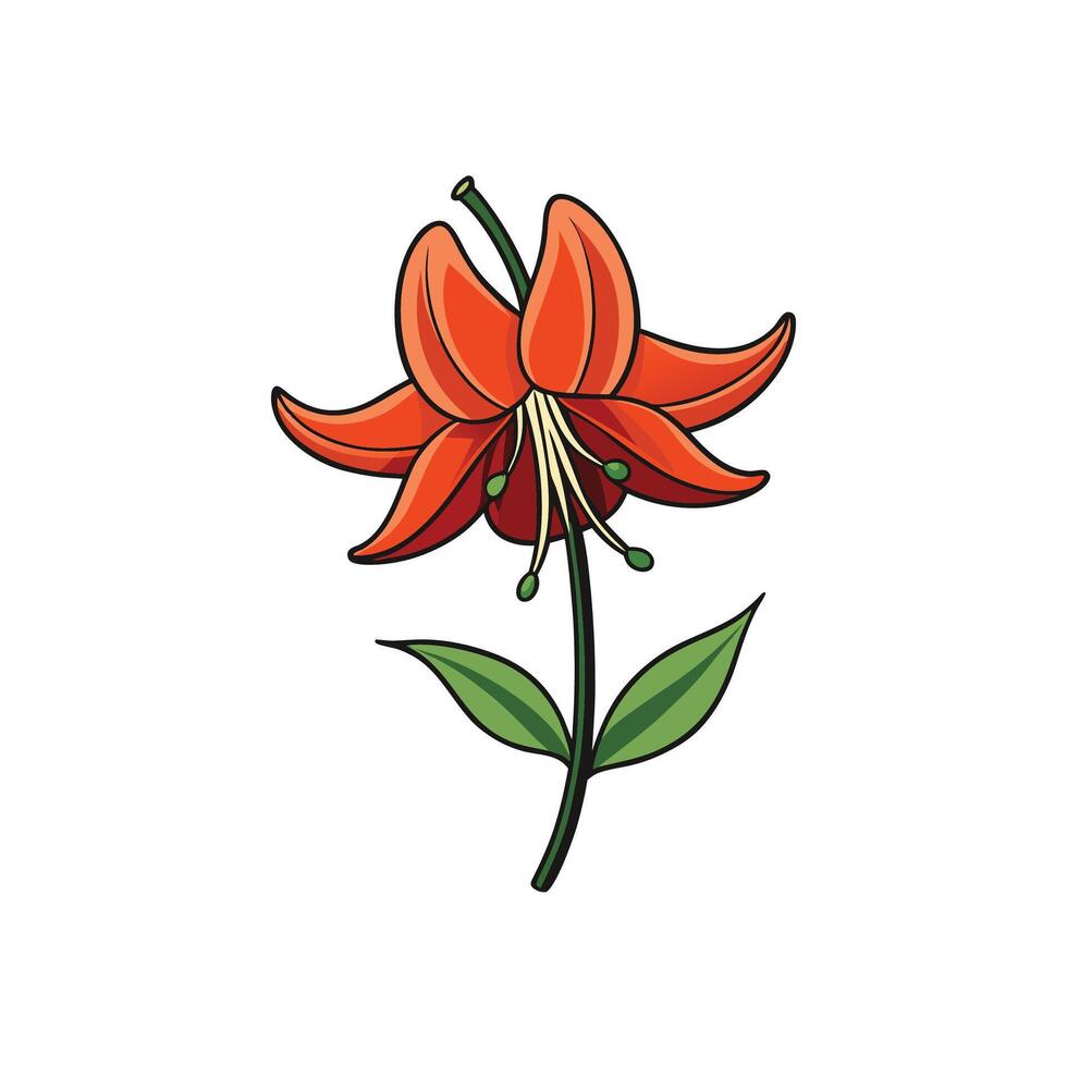 Vibrant Orange Lily Illustration Against White Background vector