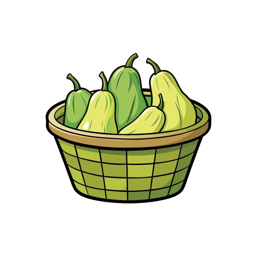 Green squash in a basket illustration with bold lines vector