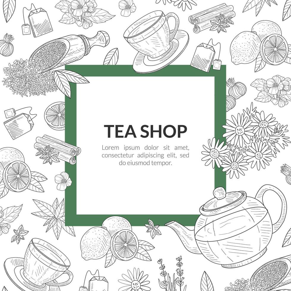Tea Shop Banner Template with Space for Text, Healthy Drinks of Wild Flowers and Herbs Hand Drawn Illustration vector