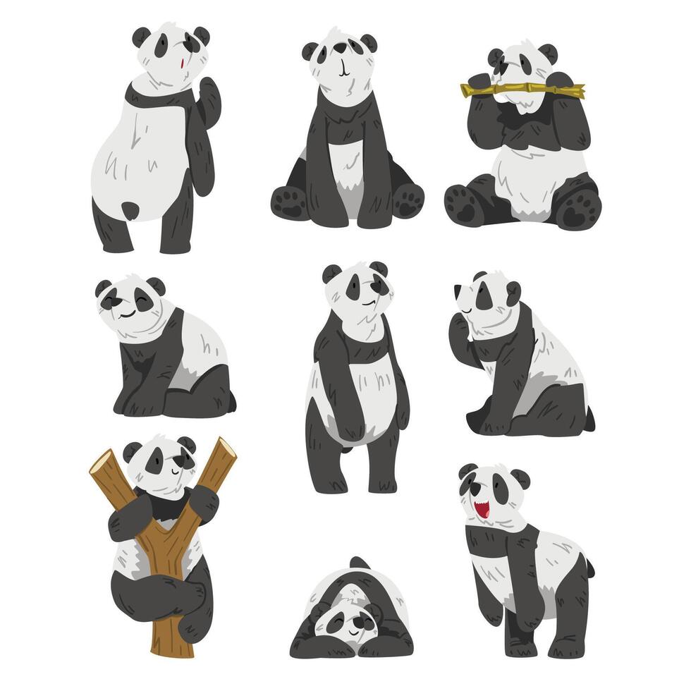 Cute Panda Bears Set, Funny Wild Animals in Various Poses Cartoon Illustration Isolated on White Background vector
