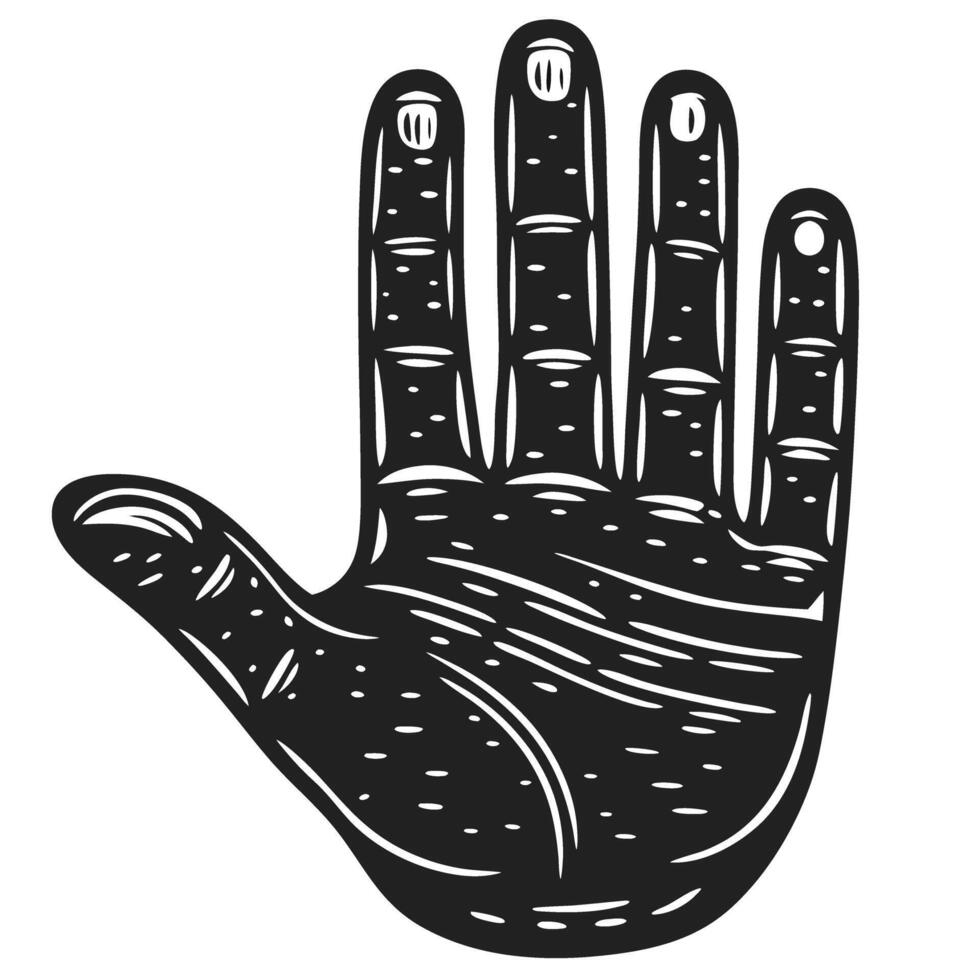 Illustrated palm, detailed hand engraving vintage etching, art and design concept vector