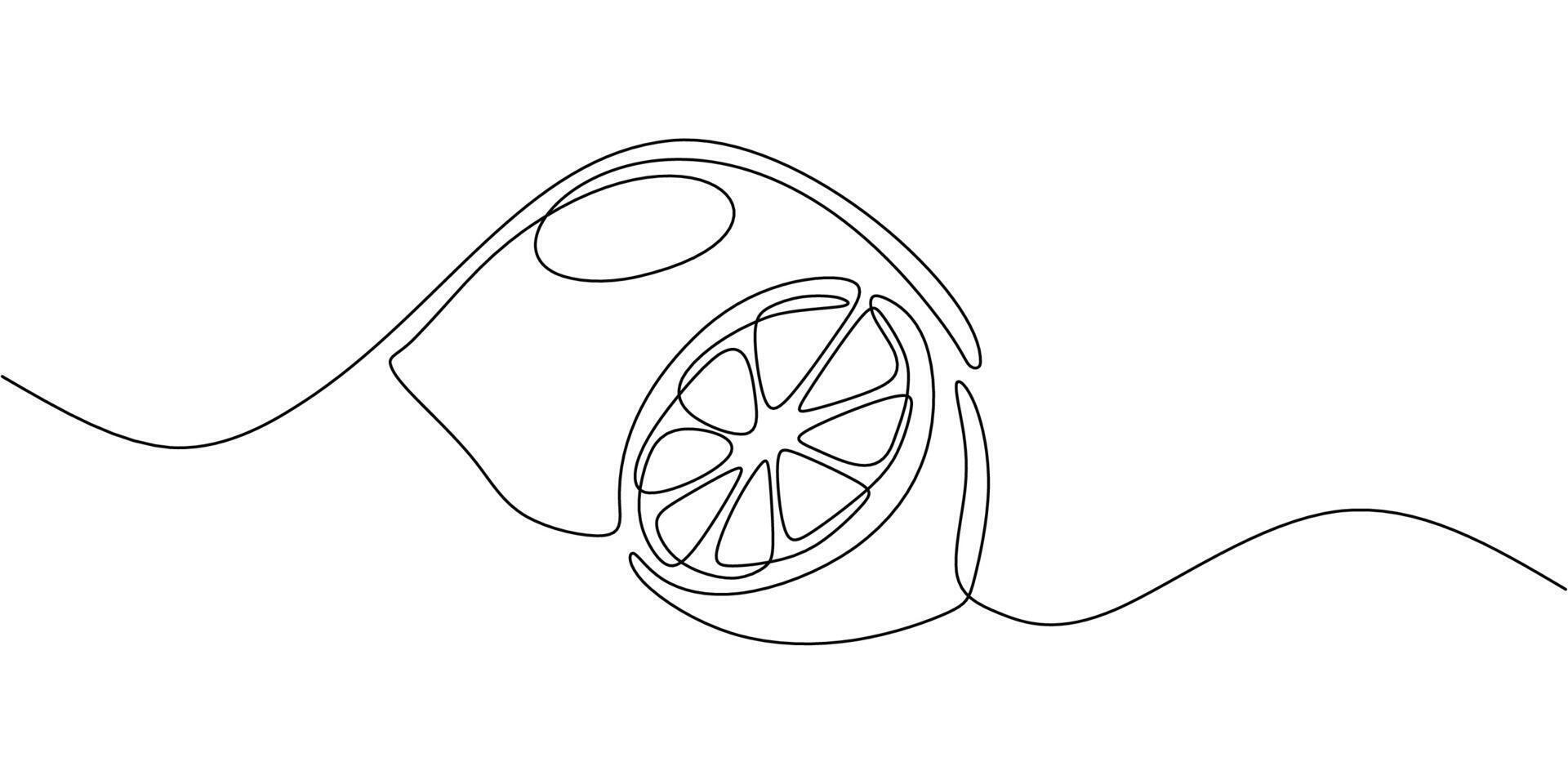 Citrus Fruit One Line vector