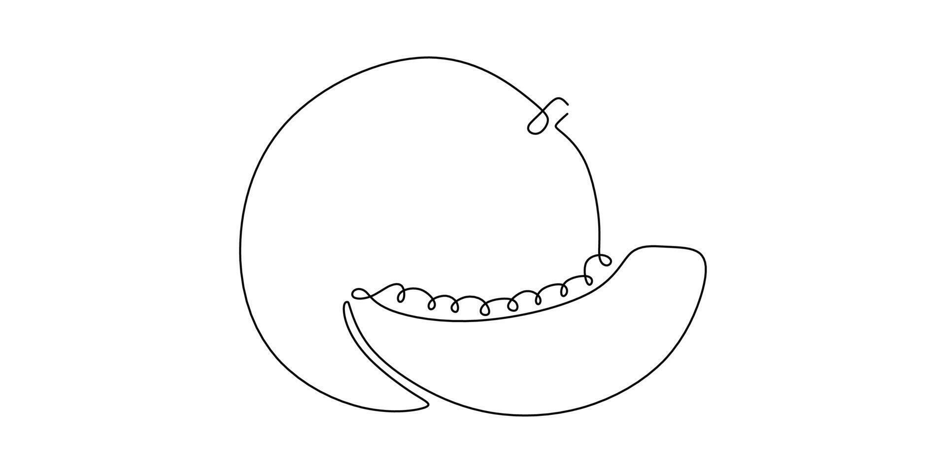 Melon One Line Drawing vector