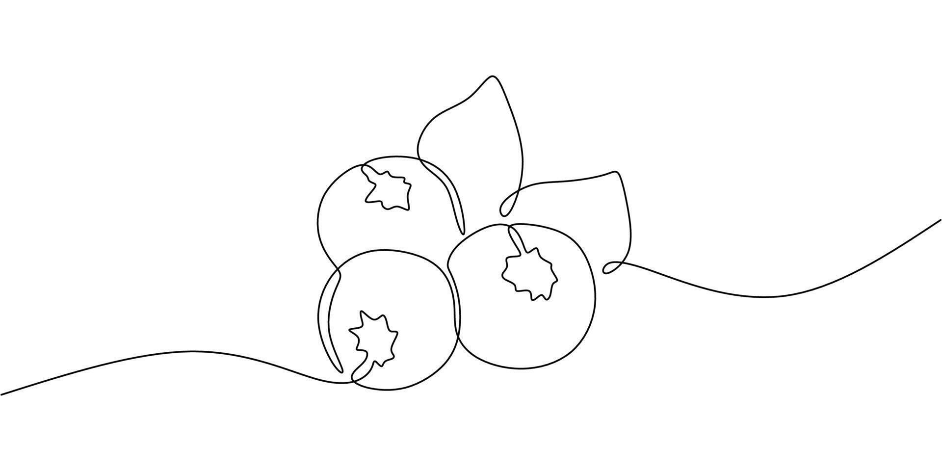 Blueberry Fruit Single Line vector