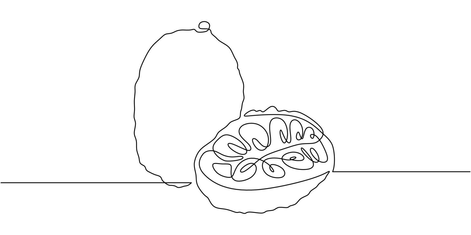 Jackfruit One Line Drawing vector