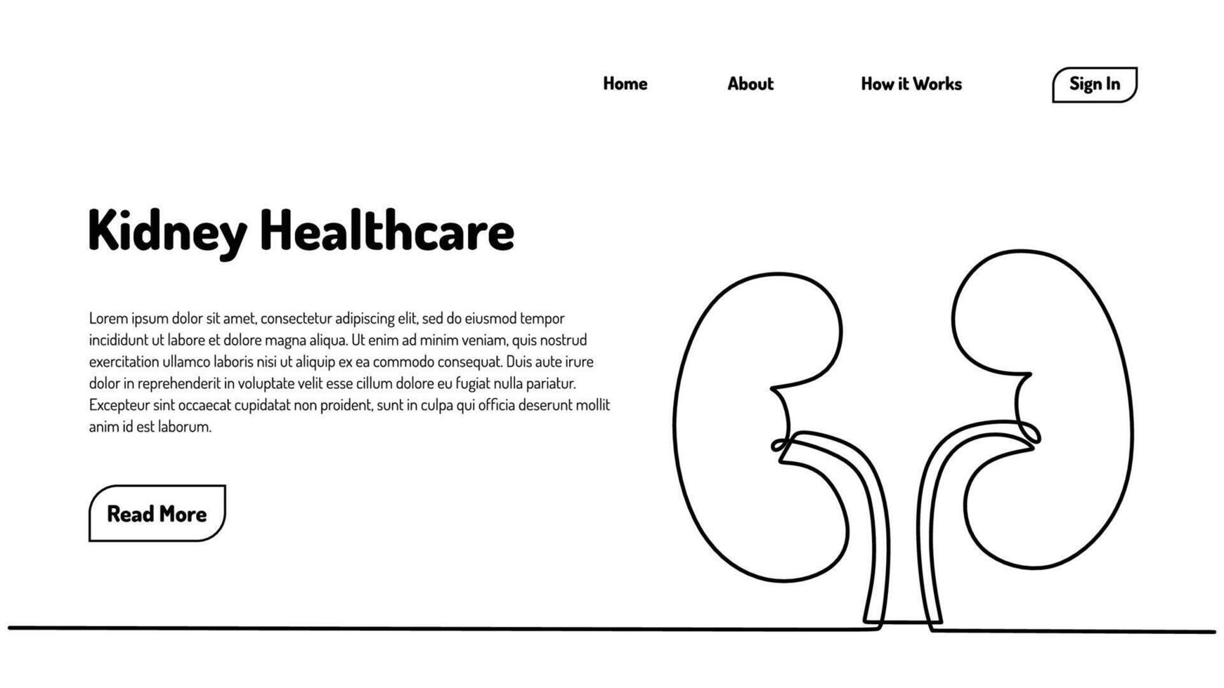 Continuous One Line Human Kidneys vector