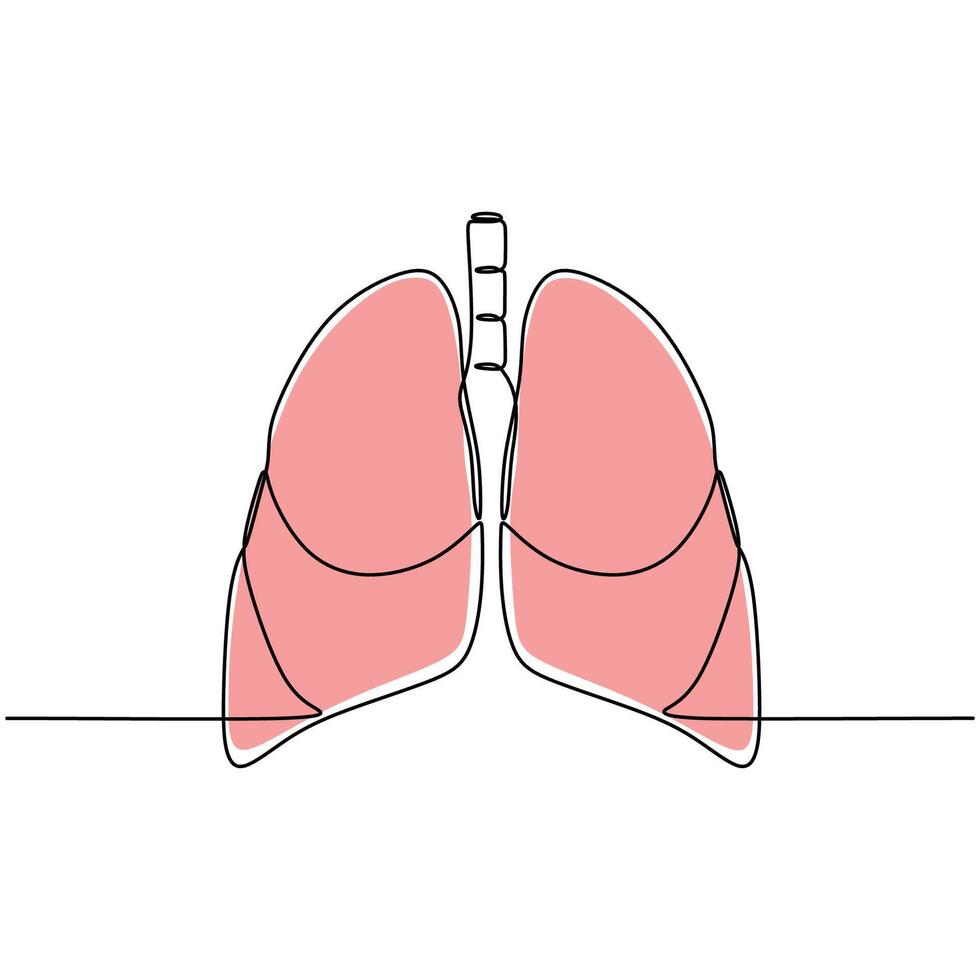 One Line art Drawing Lungs Organ. vector