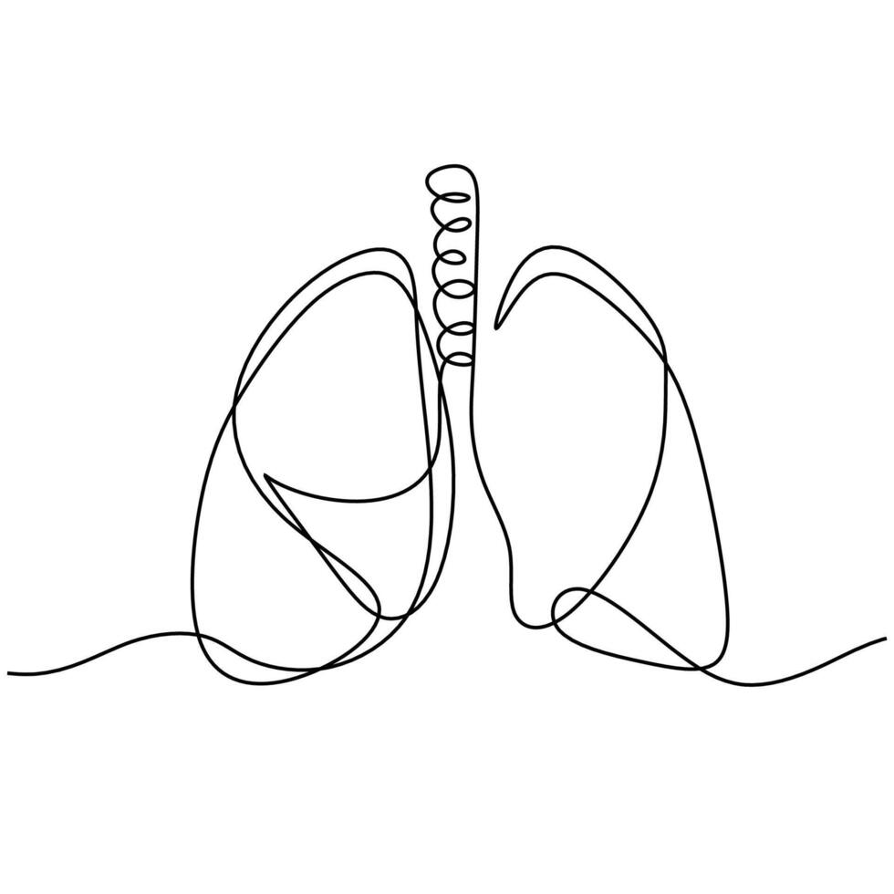 Continuous Line Drawing Lungs Organ. vector