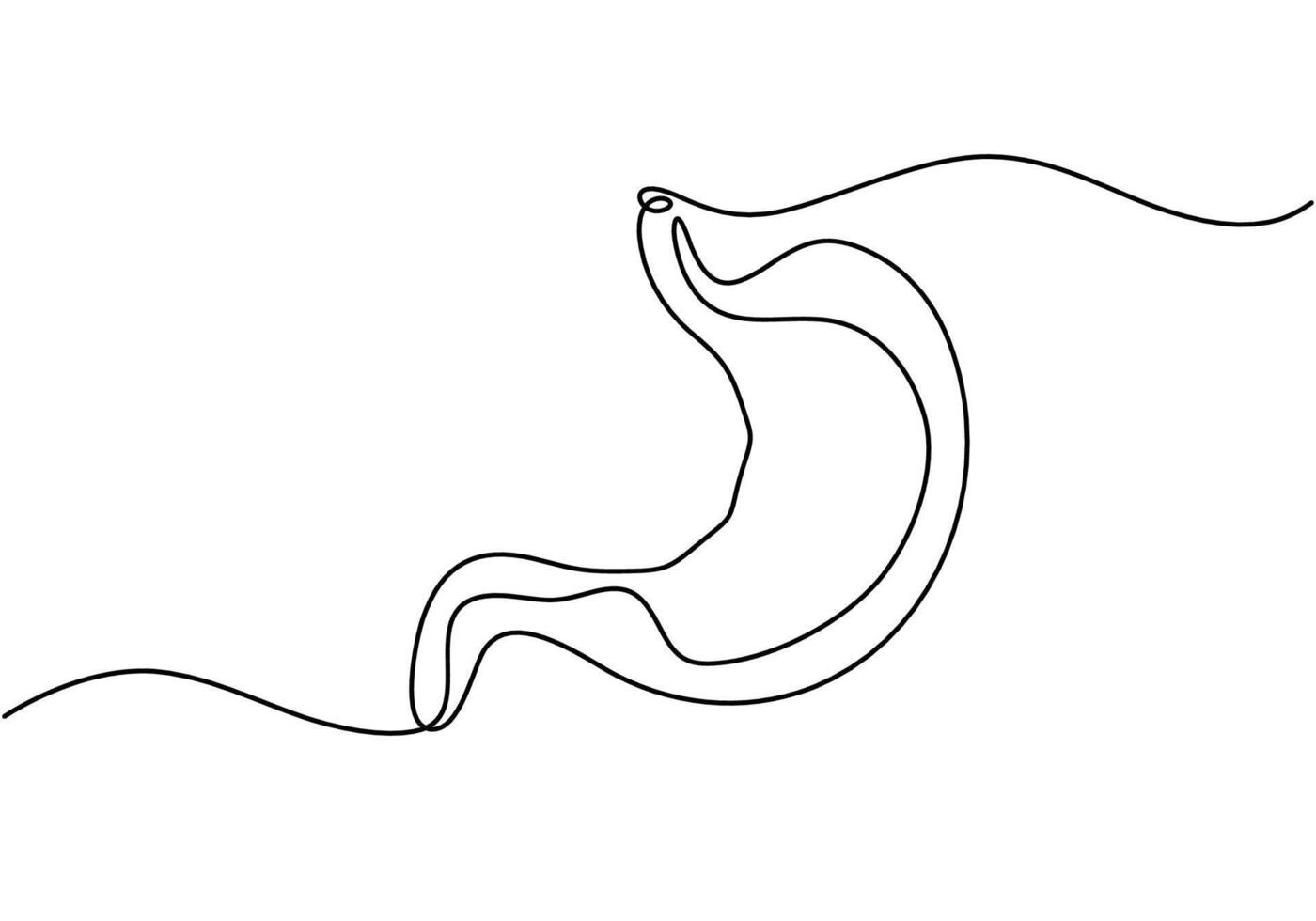 Human Stomach One Continuous Line vector