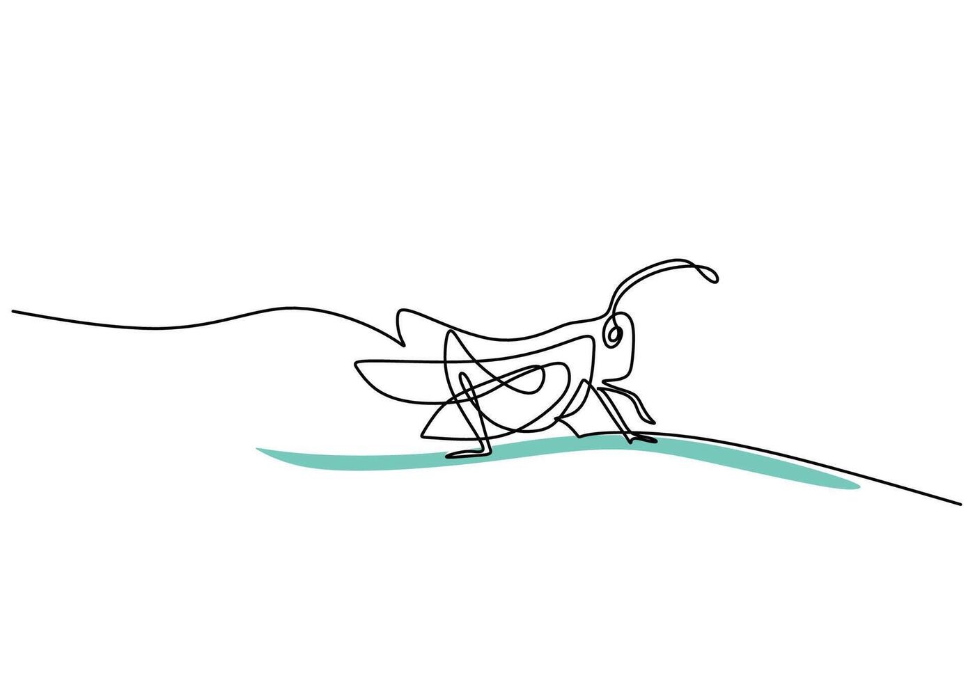 Insect Grasshopper Leaf vector